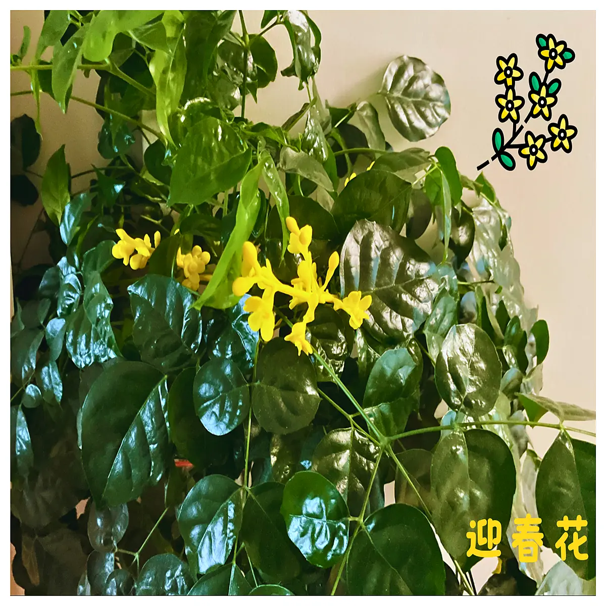 forsythia branches artificial spring flowers yellow floral arrangement home decor wedding party table centerpiece