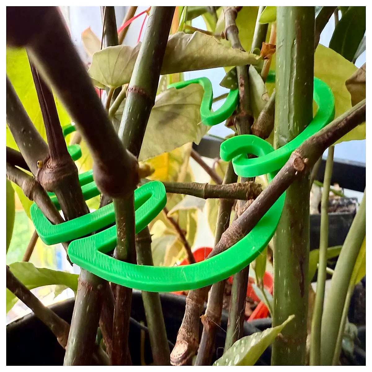 monstera plant support stake with clips for climbing vines home decor