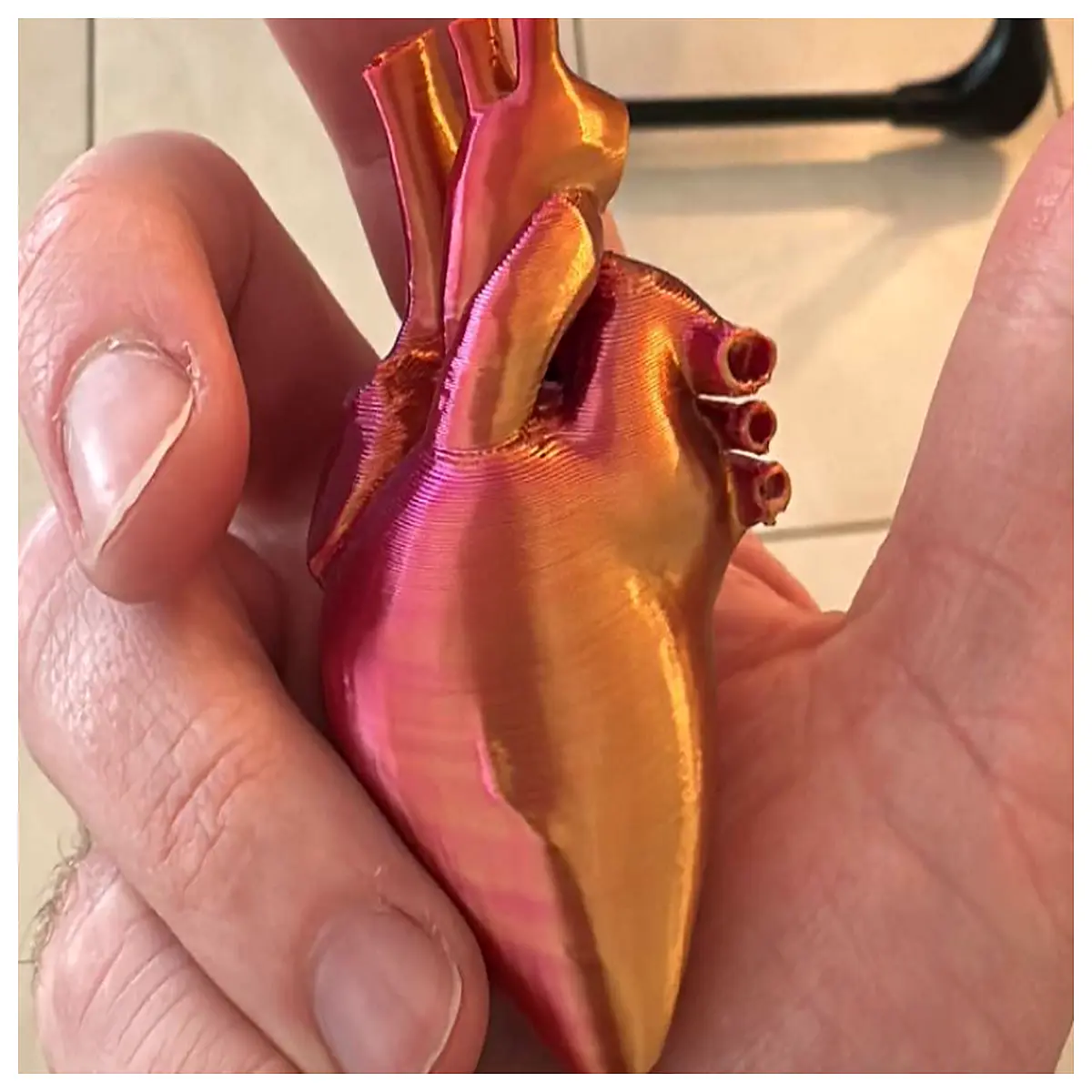 anatomical realistic human for medical students nursing education dissection study science fair project