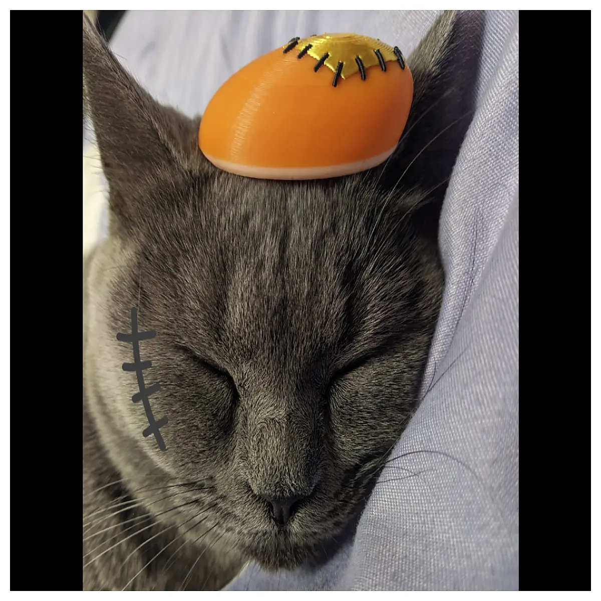 cute mini lazy grey wolf hat for kids blue cat cartoon character cosplay accessory small headwear for toddlers