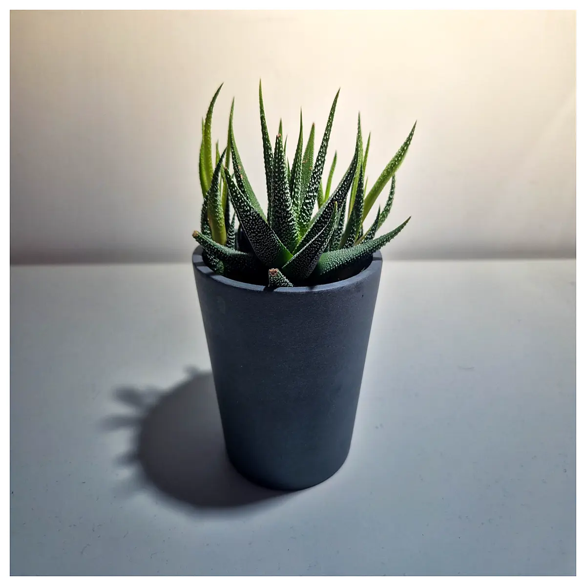 minimalist modern planter pots for indoor plants succulents ceramic concrete geometric flower containers home decor