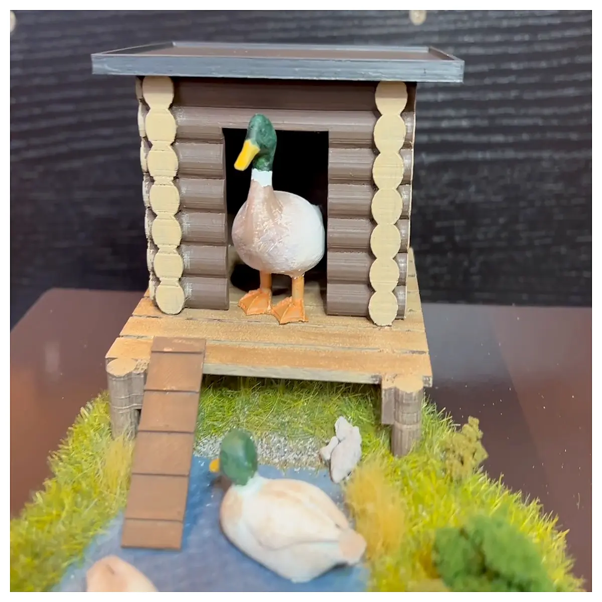 schlitz chicken with run large poultry house for backyard flock predator proof nesting boxes