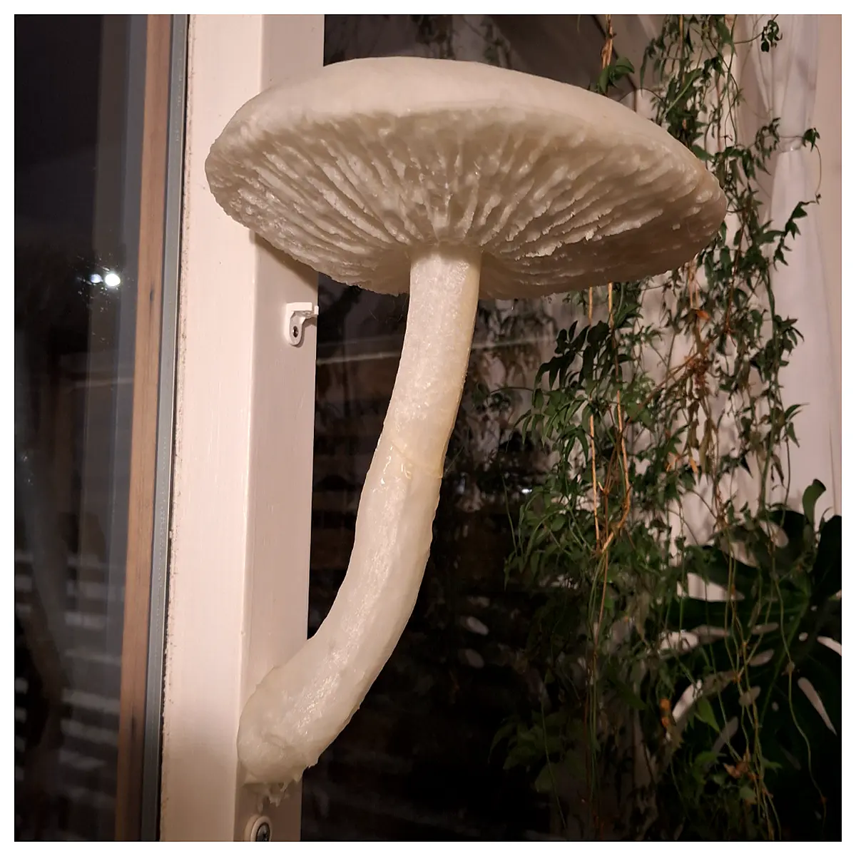 realistic mushroom shelf organizer for desk cute fungal decor storage bin whimsical nature themed home accessories