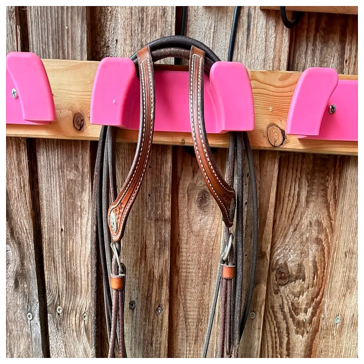 horse bit rack wall mount stable storage organizer for bridles reins tack room duty leather hook
