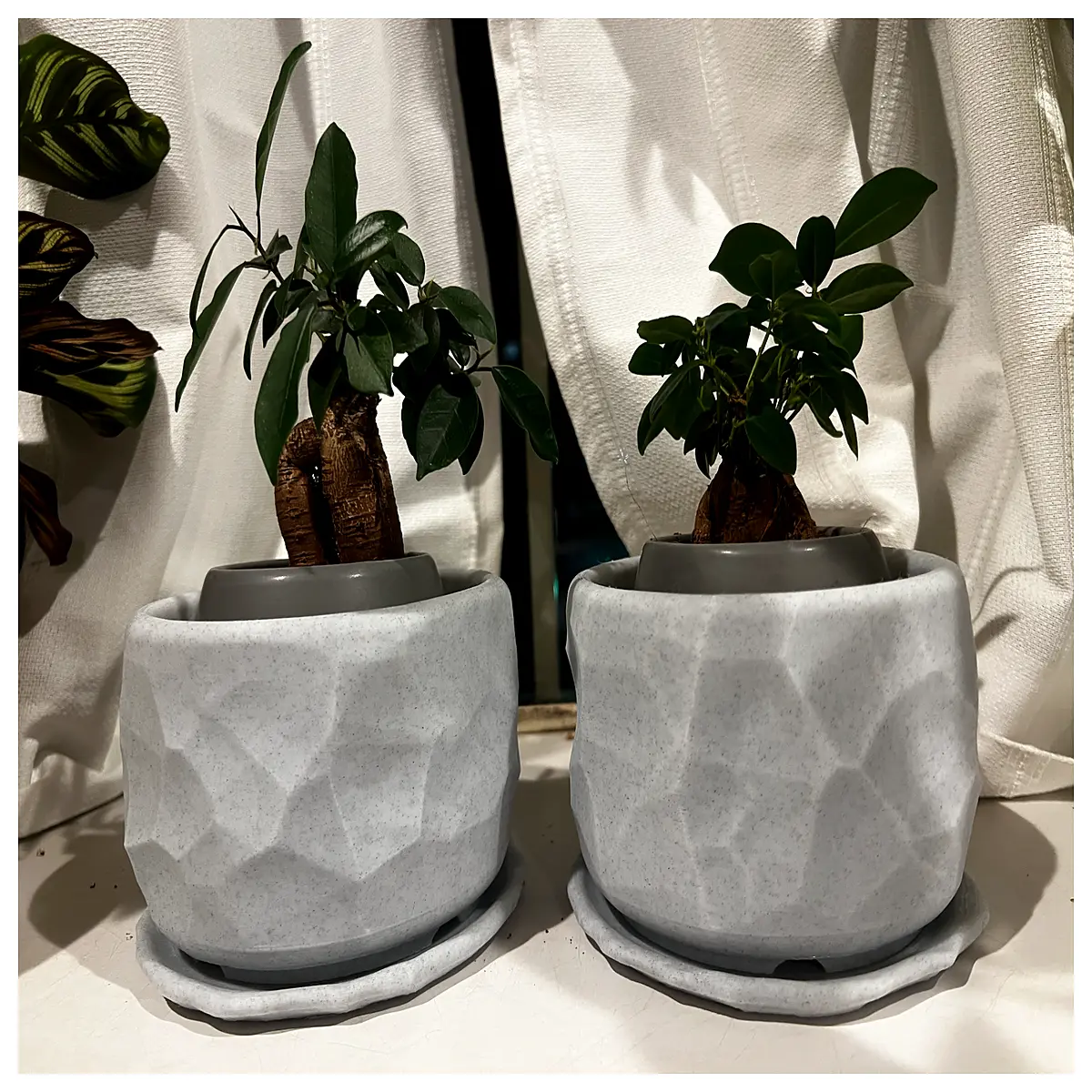stone planter pot no drainage hole for succulents air plants faux rock decorative indoor garden container