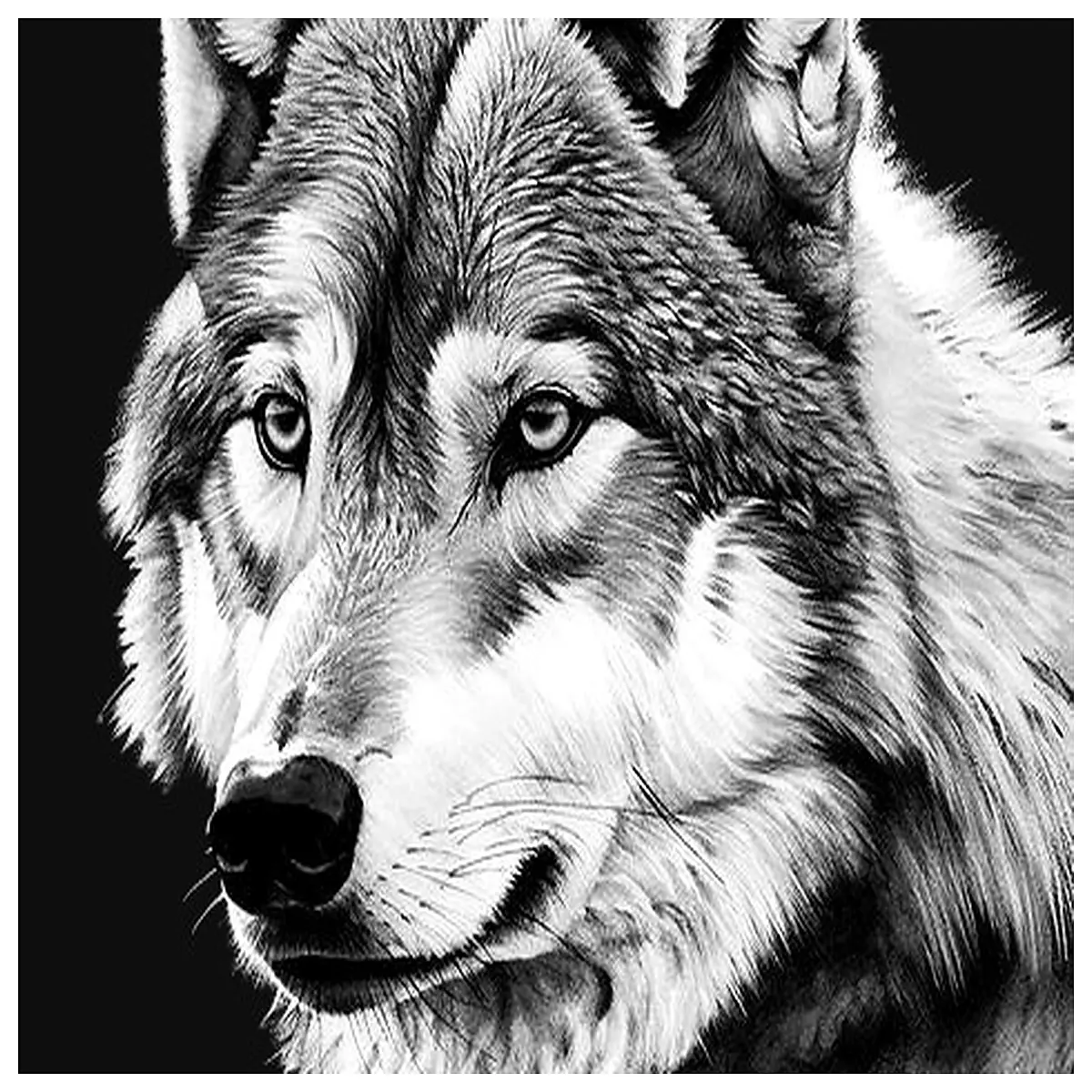 lone wolf hoodie men streetwear oversized graphic tee gothic punk rock aesthetic black long sleeve shirt