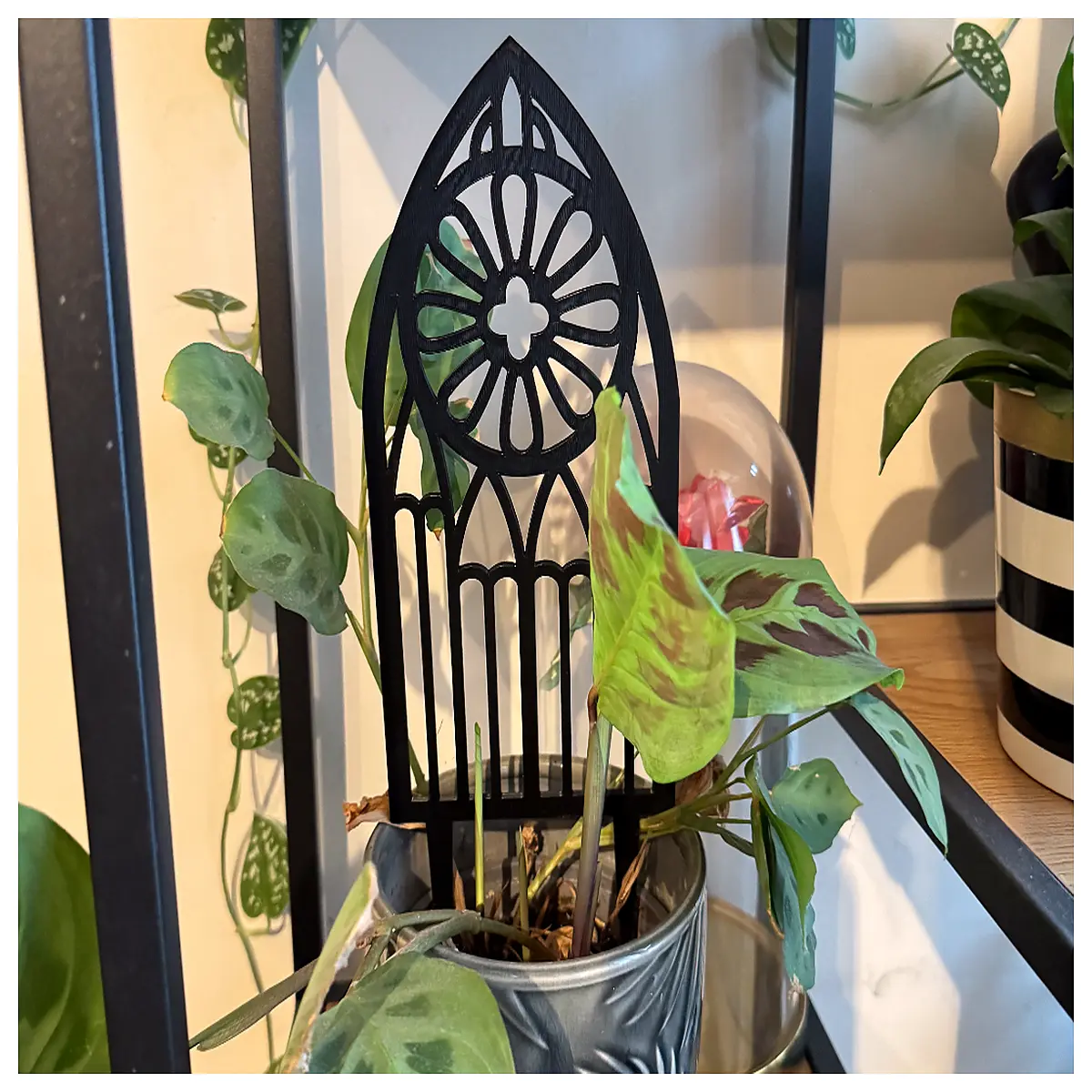 gothic plant trellis support for indoor climbing vines duty metal garden decor