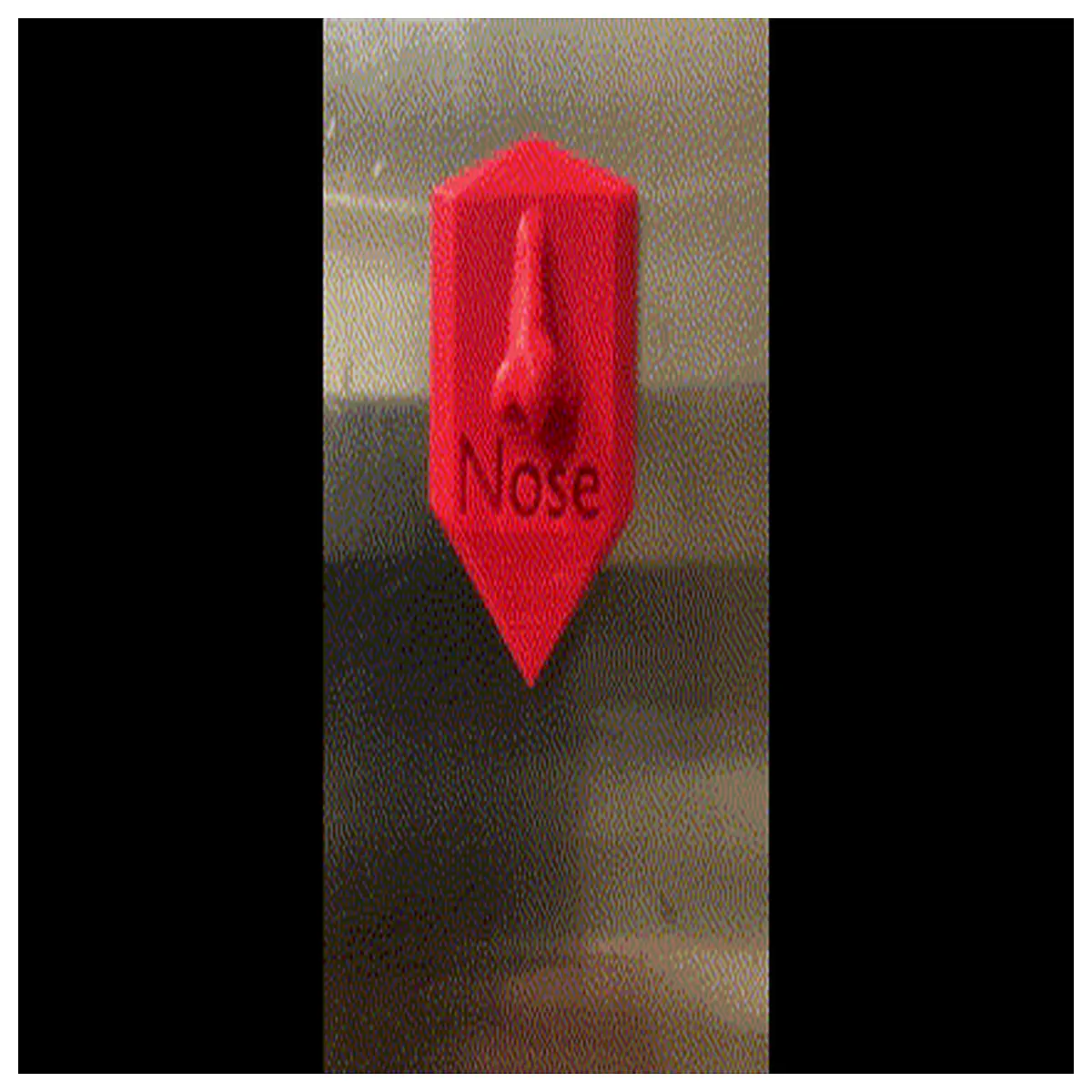 funny nose magnet trophy award funny desk ornament gag colleagues