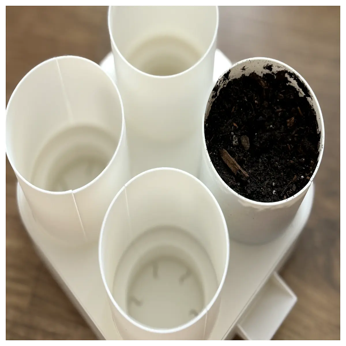 self watering seed starter pots with dome automatic control germination tray for indoor gardening
