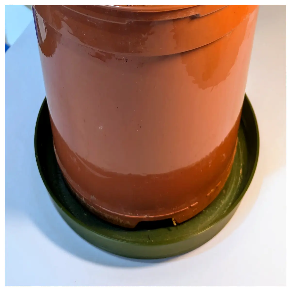 5 inch plant saucer 125mm plastic flower pot drip tray for indoor garden pots drainage plate