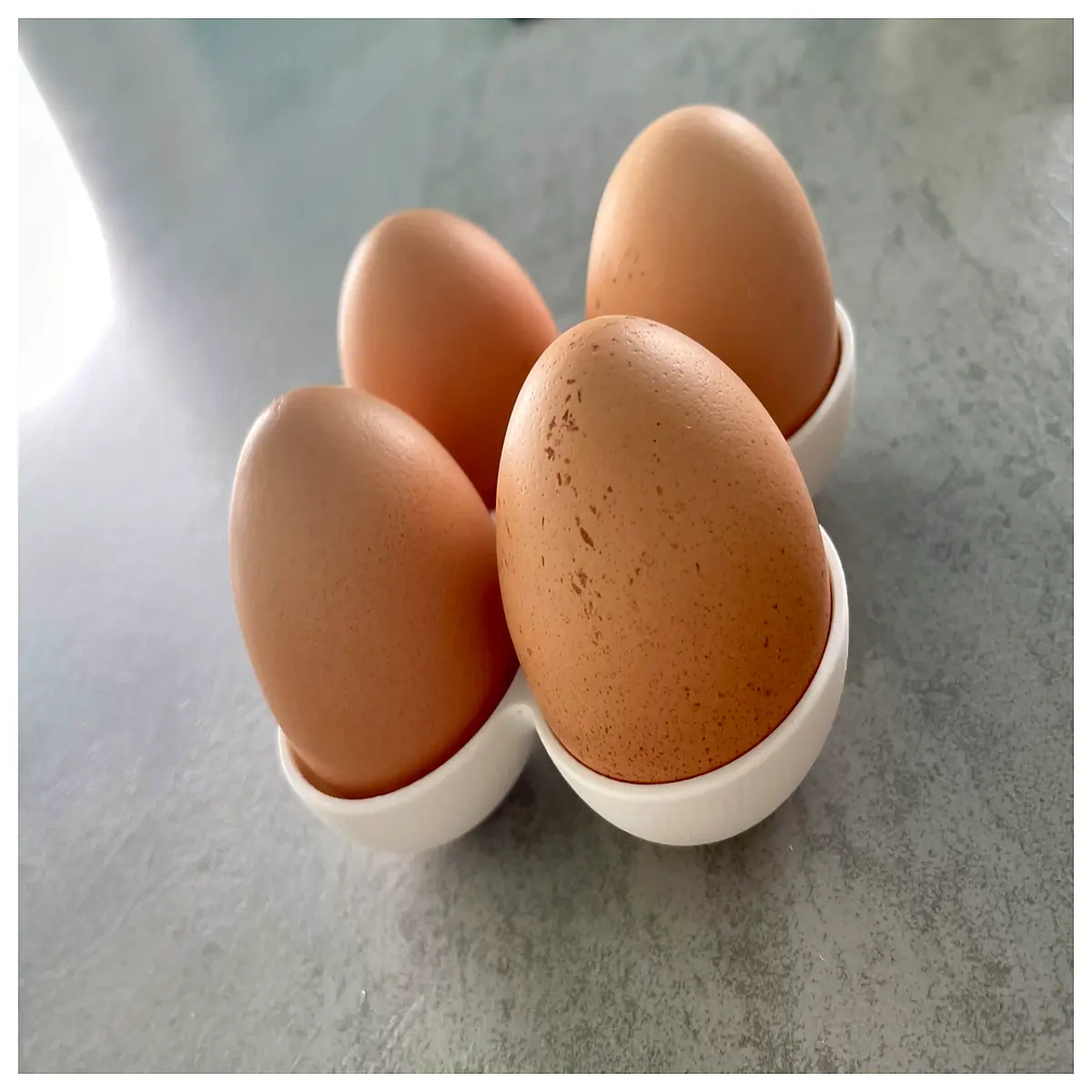 stainless steel 4 cup egg poacher insert for boiling water bath steamer rack holder