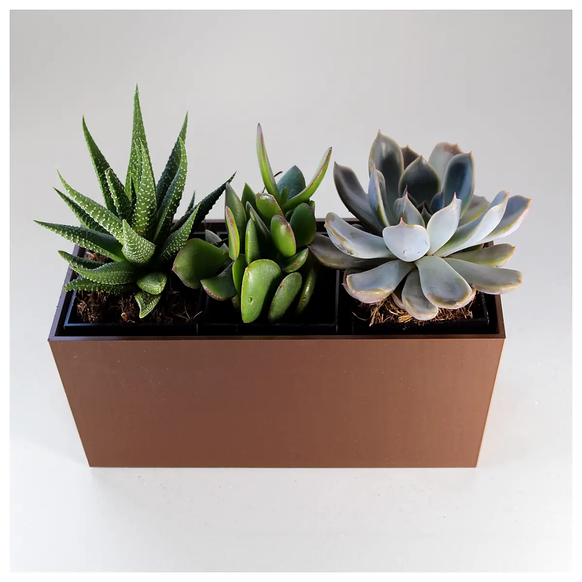 3 pod window sill planter for seed starting indoor herb garden starter with drainage
