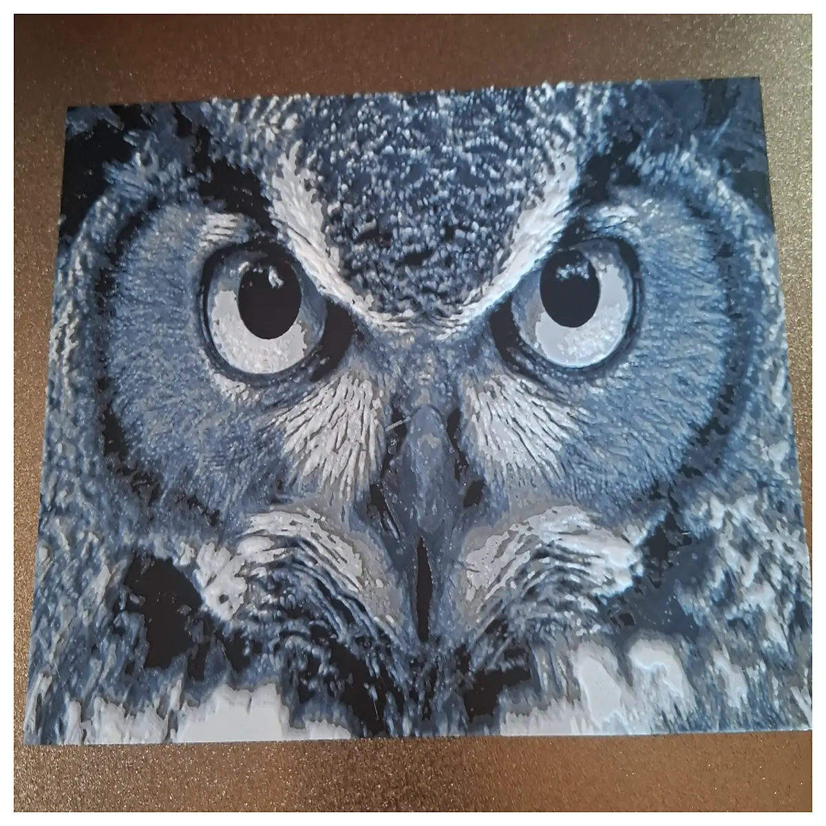 owl eye color forged steel kitchen chef s blade
