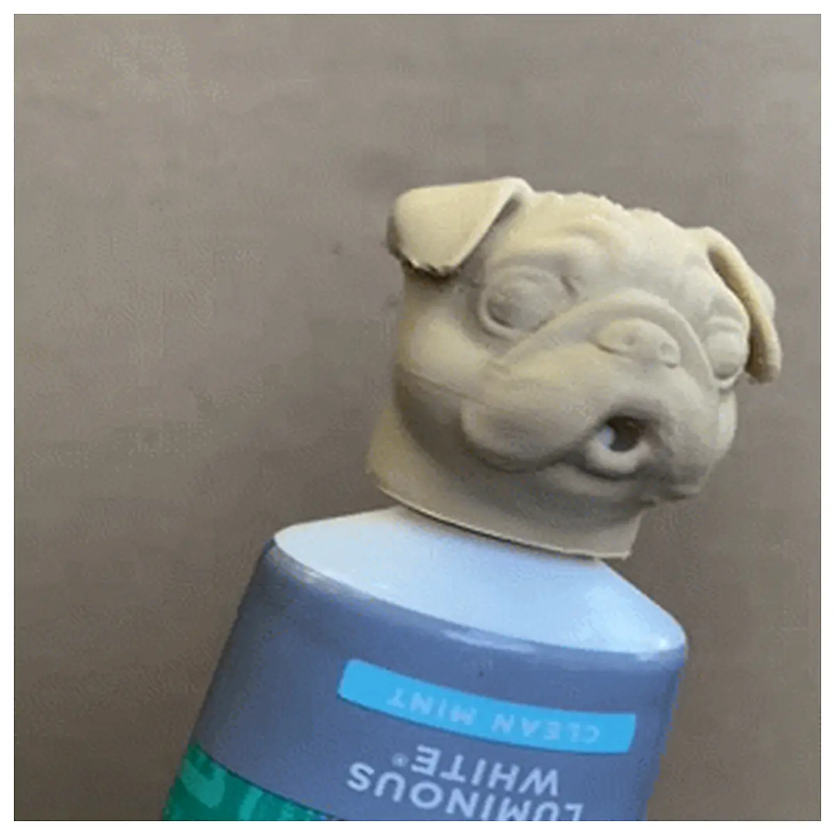 cute pug toothpaste cap holder dog face bathroom sink organizer pet grooming accessories