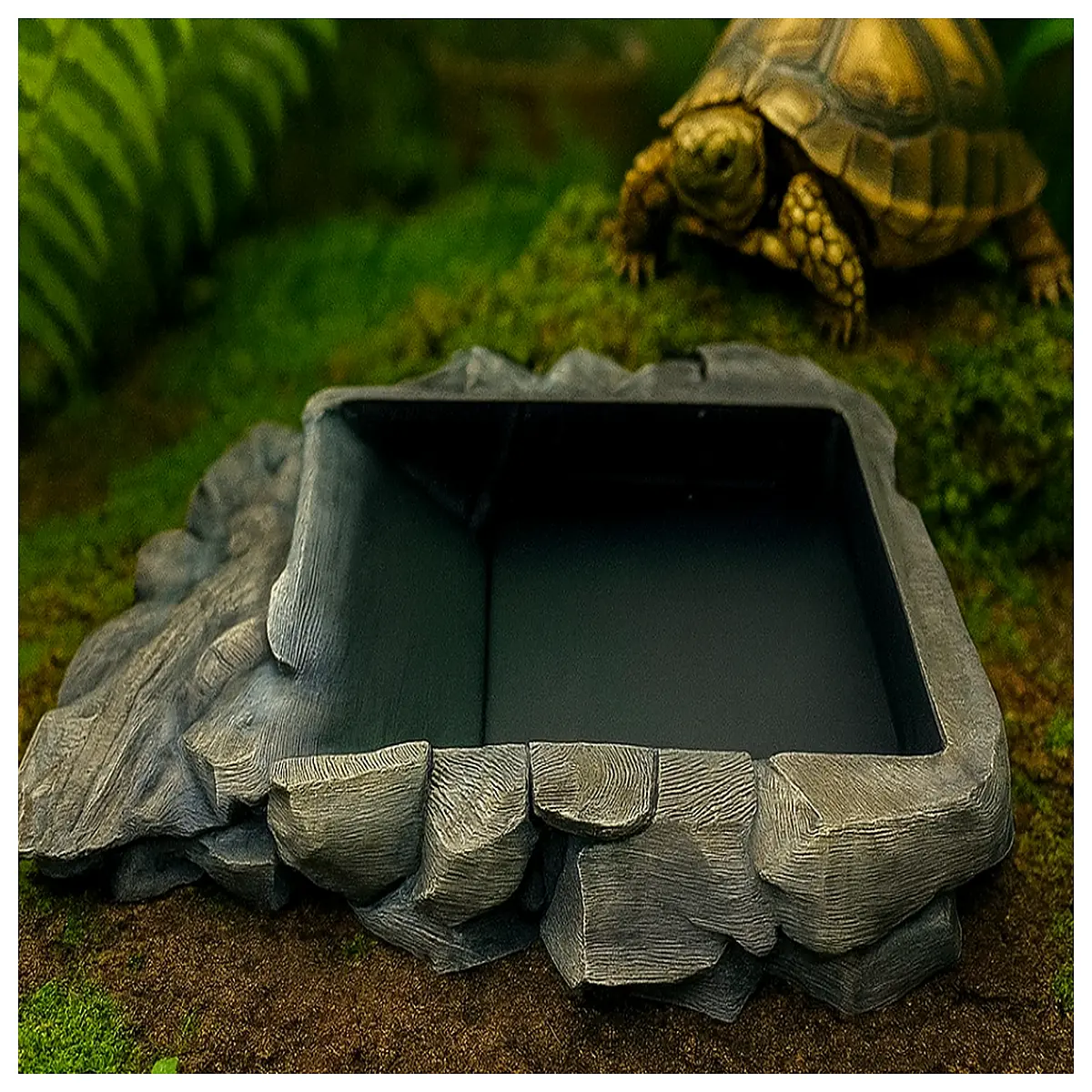 reptile amphibian pond outdoor water garden for turtles frogs landscaping