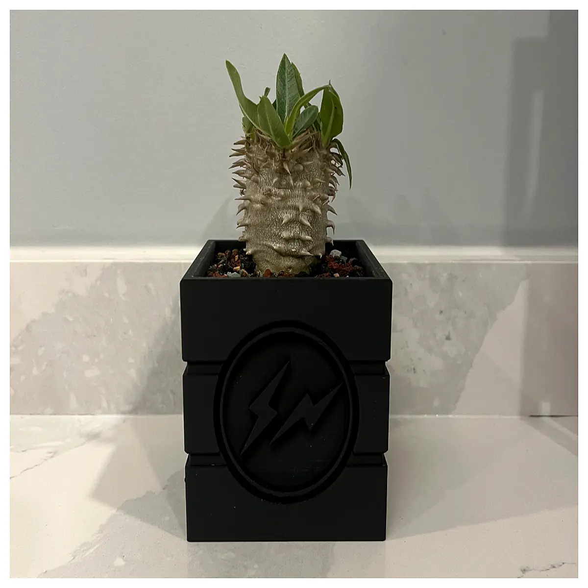 ceramic planter pot modern geometric flower vase for succulents home decor indoor outdoor garden