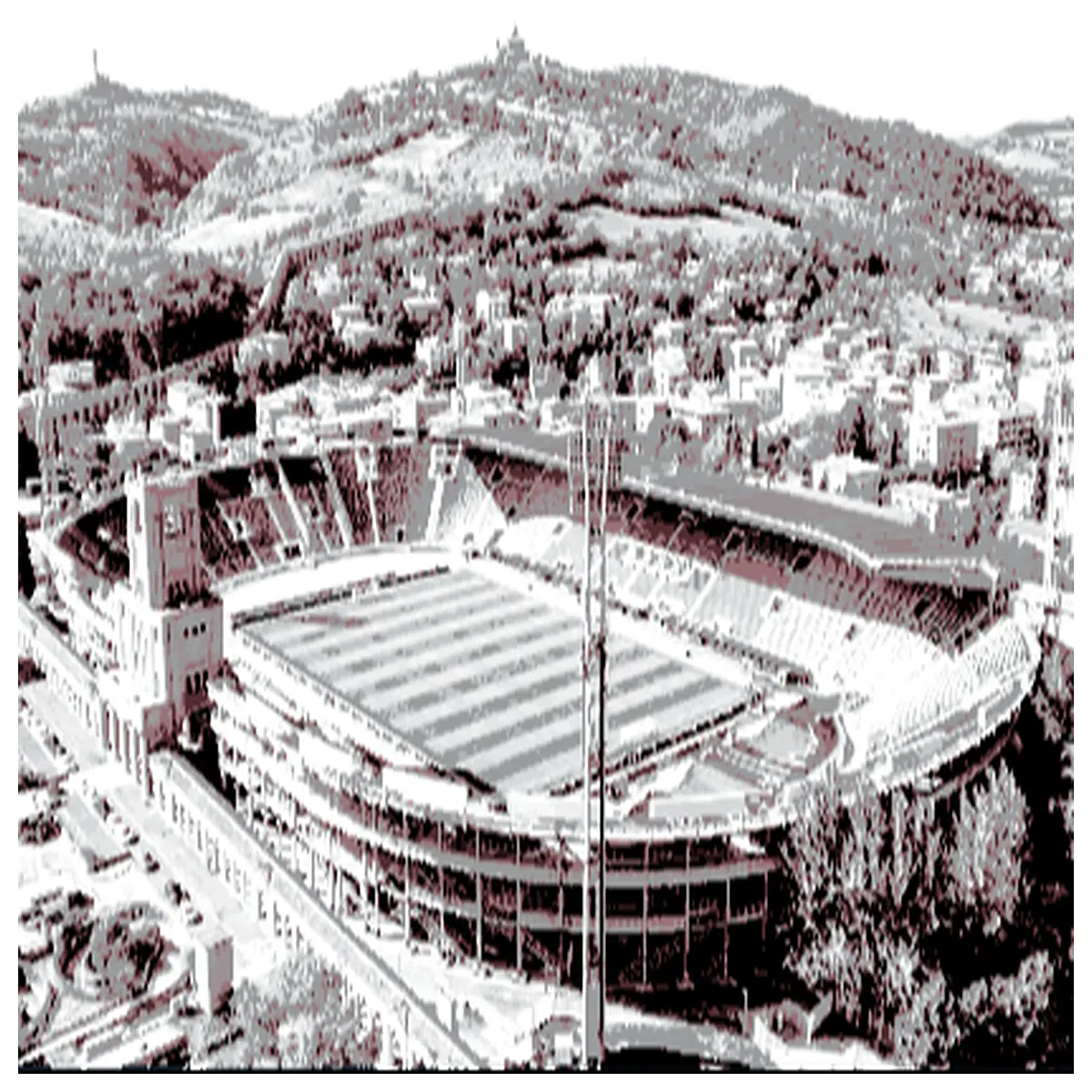 stadio renato dall ara bologna tickets match schedule stadium tour seating map how to get there