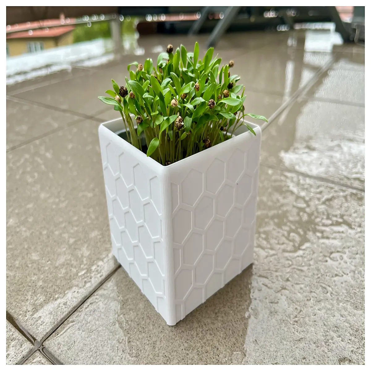 self watering plastic nursery pots with drainage holes for seedlings plants