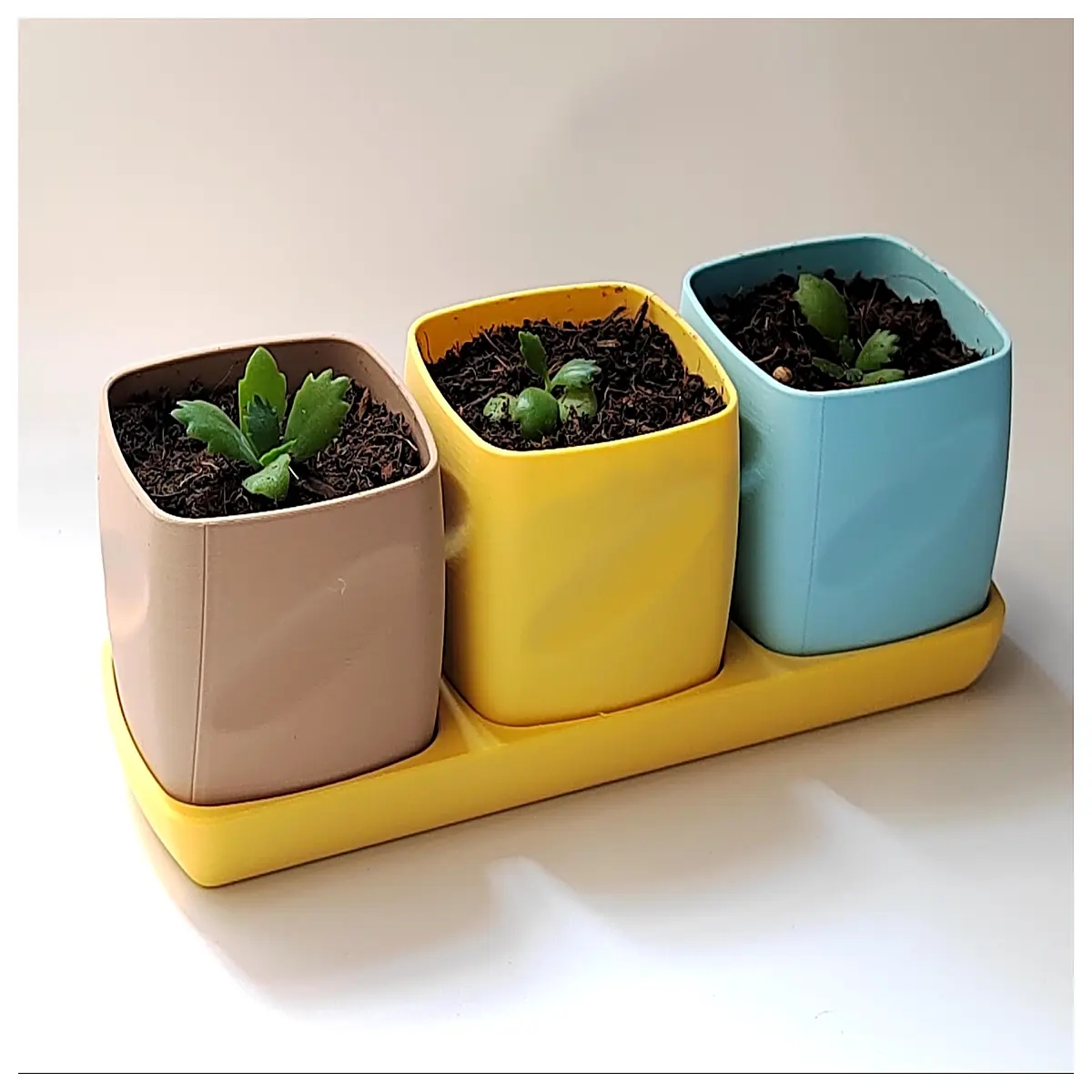 minimalist plant pot planter box modern indoor outdoor garden decor small succulent cactus container