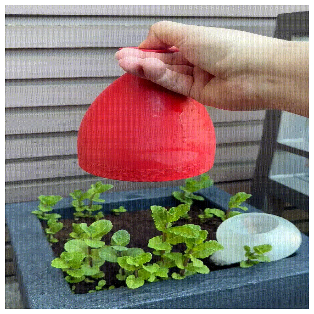 precision long spout watering can for indoor plants succulents orchids delicate stream control duty plastic garden tool