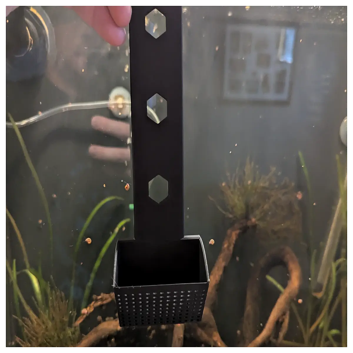aquarium snail scraper tool algae remover glass cleaner for fish tank maintenance