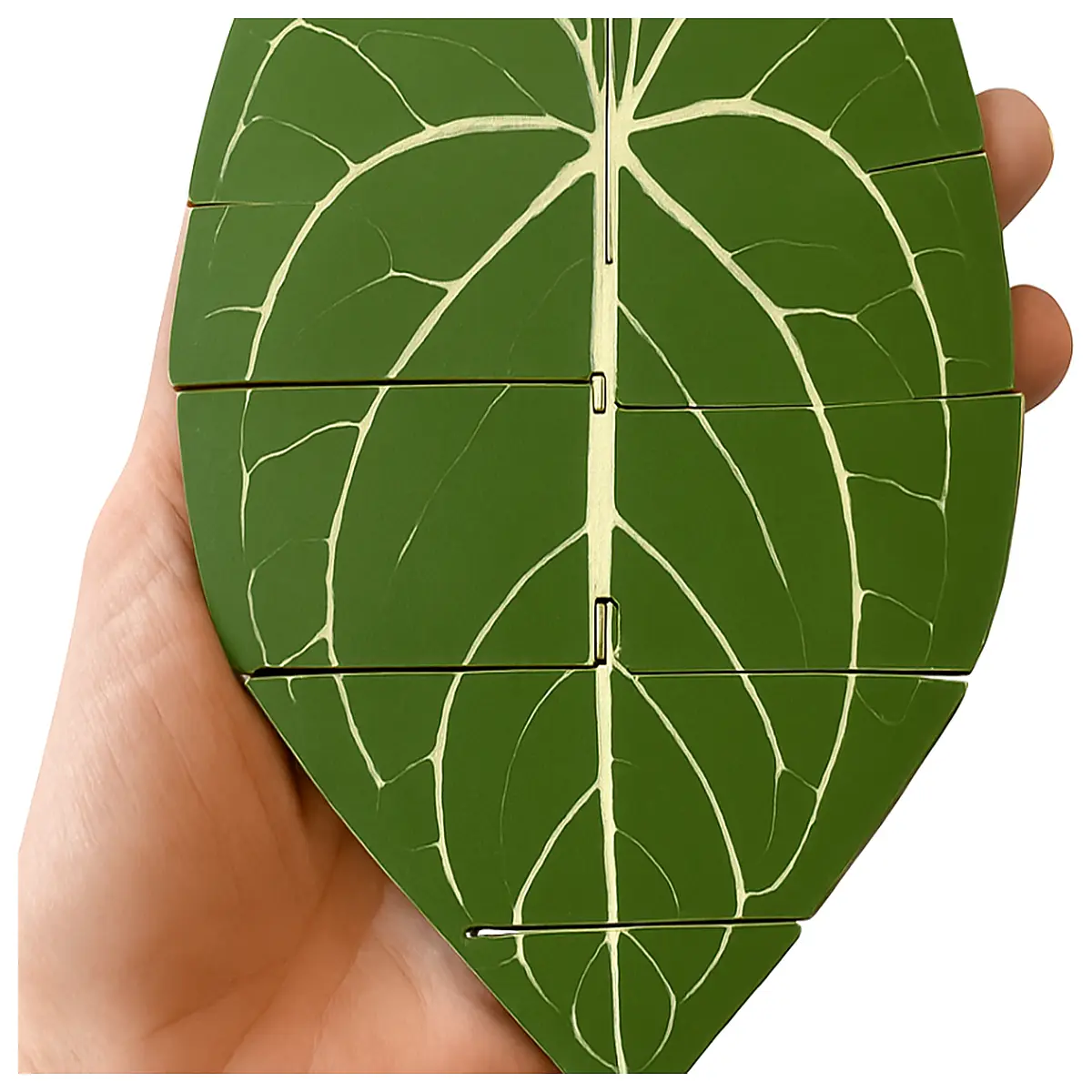 indoor houseplants for low air purifying easy care succulents and ferns home decor