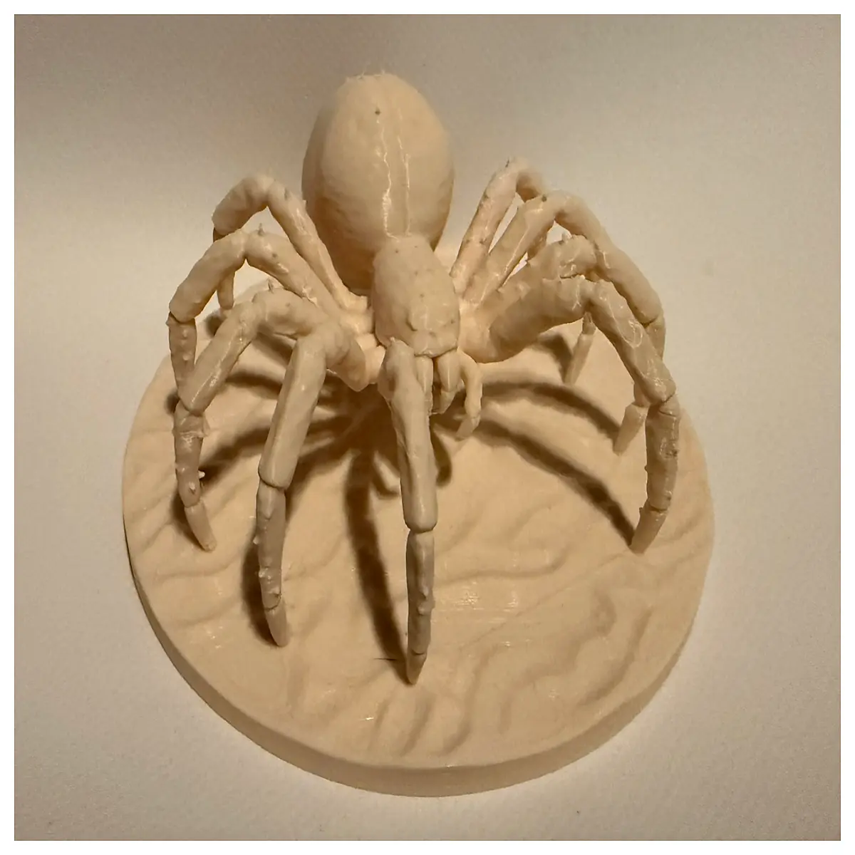large spider prop for d d dungeon master table horror fantasy party decoration arachnid