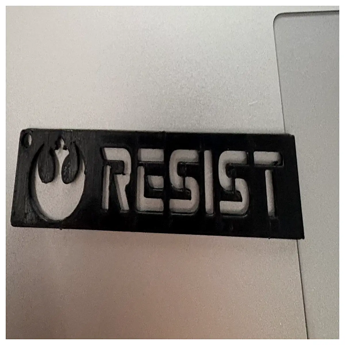 rebellious keychain anti authoritarian activists political resistance jewelry punk
