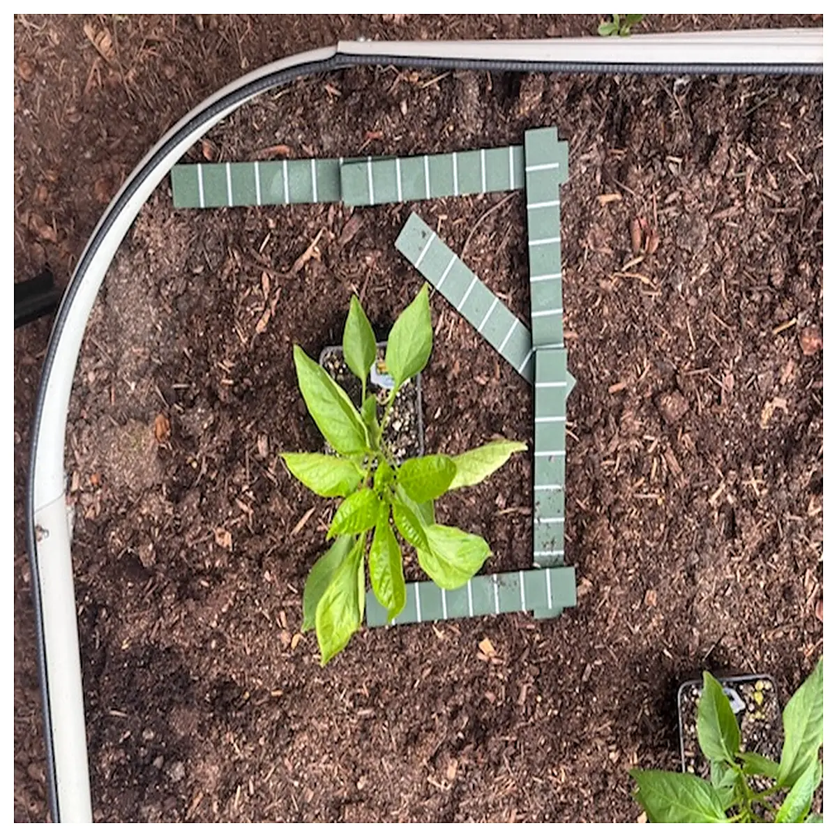 garden bed spacing tool for precise seed planting adjustable row marker guide landscape design measuring stick