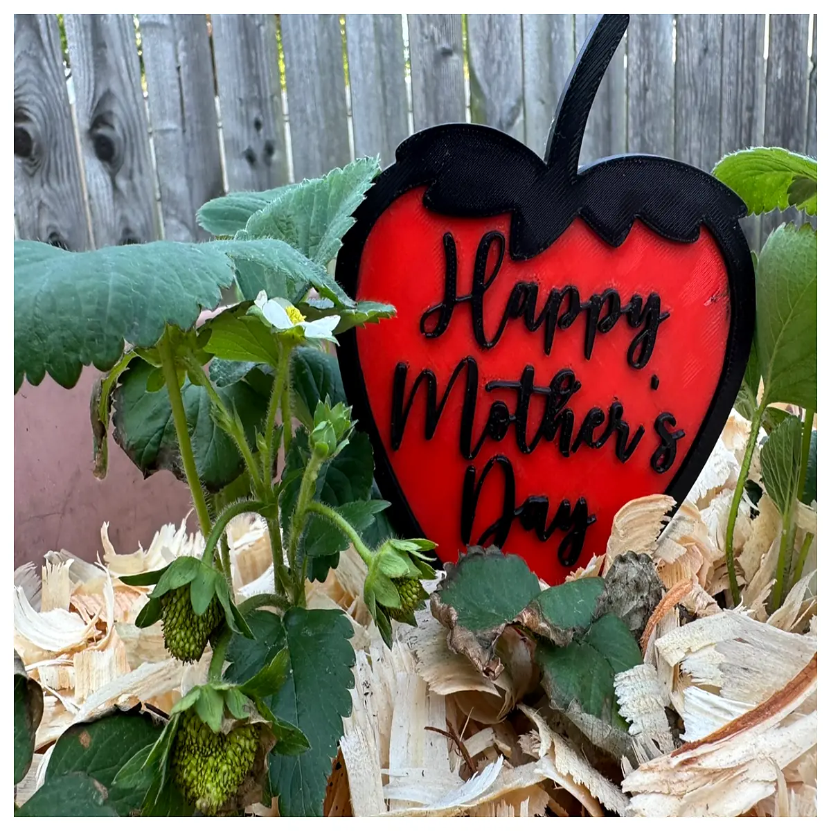 mother s day potted strawberry plant gift edible garden decor for mom blooming fruiting houseplant
