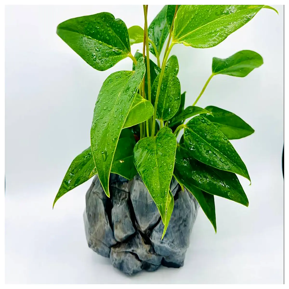 realistic stone planter pot for indoor outdoor decor faux rock flower container garden landscaping