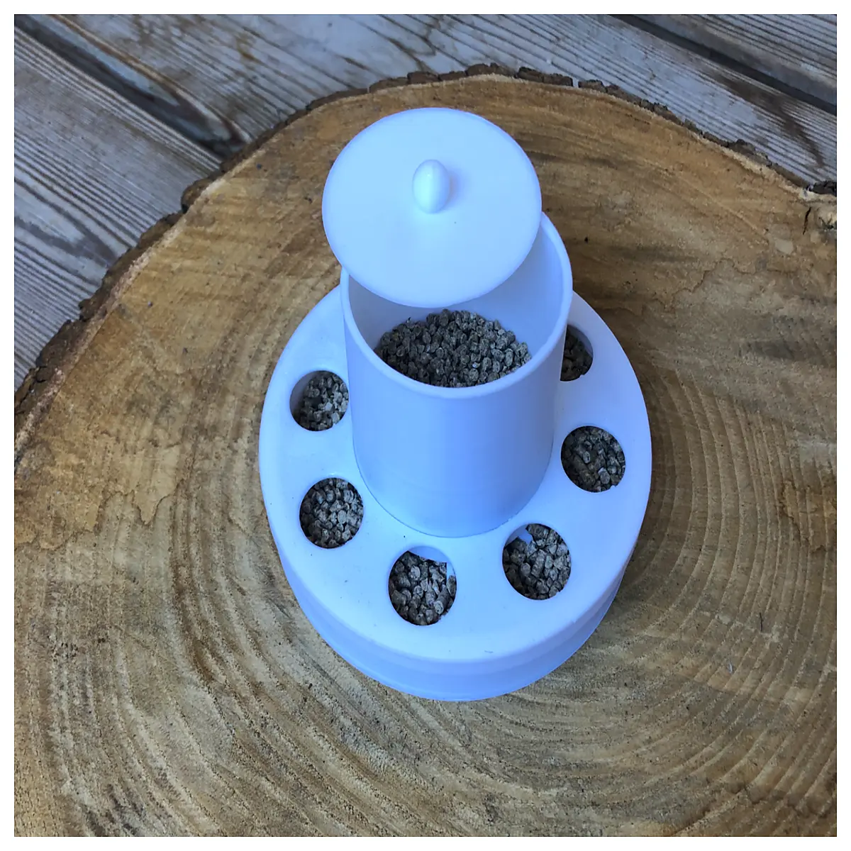 chicken feeder no automatic poultry feed dispenser for
