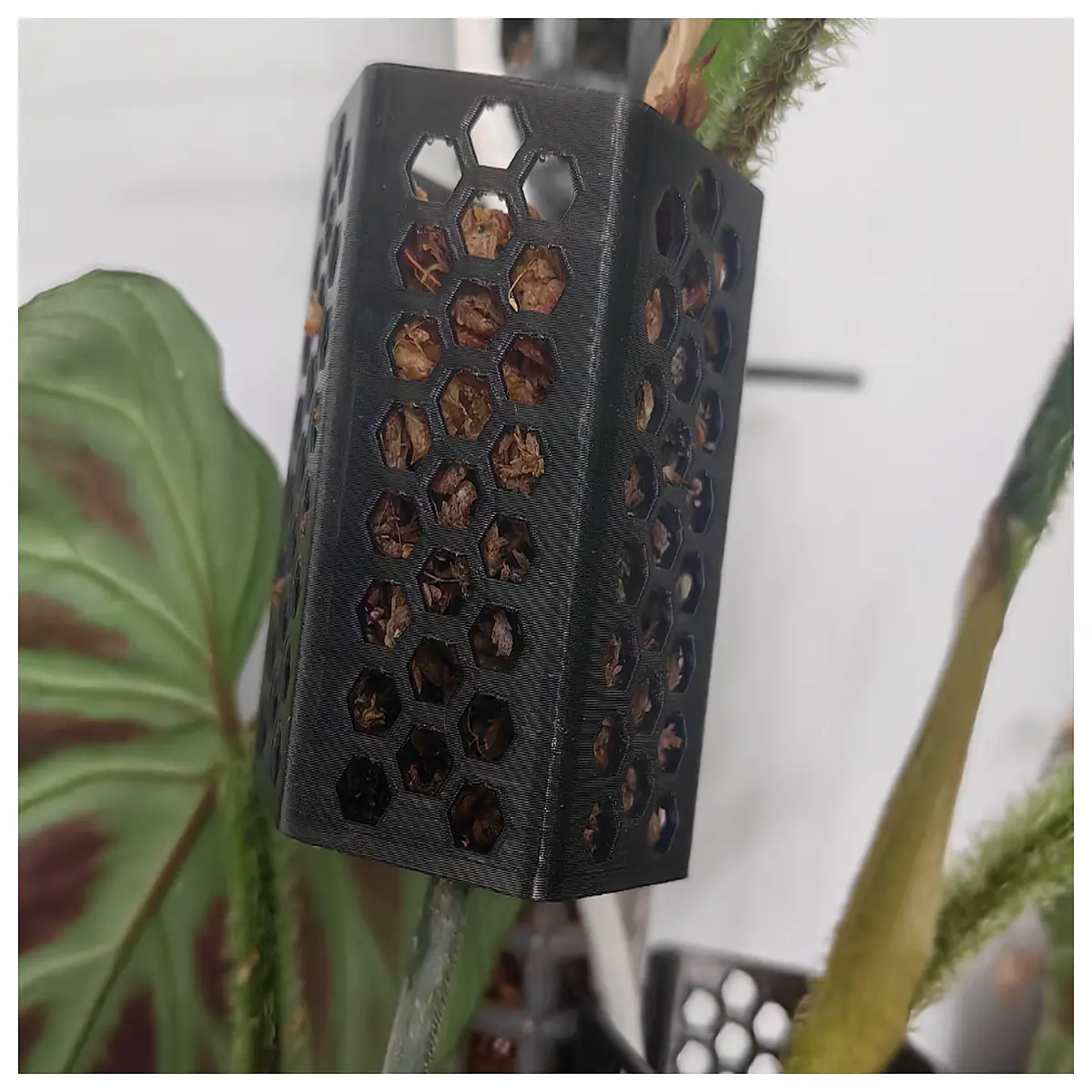 hydroponic plant baskets moss liner pots for aeroponics grow net cups with sphagnum
