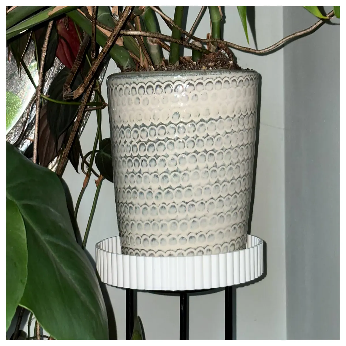 best plant stands for home decor indoor plants large flower pots