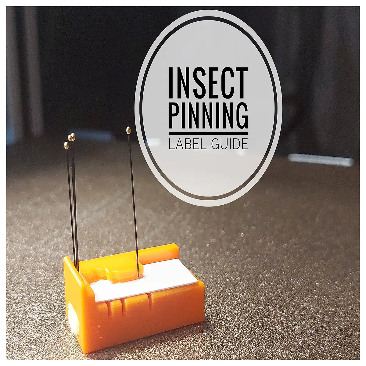 insect pinning label guide holder for entomology specimen mounting organization