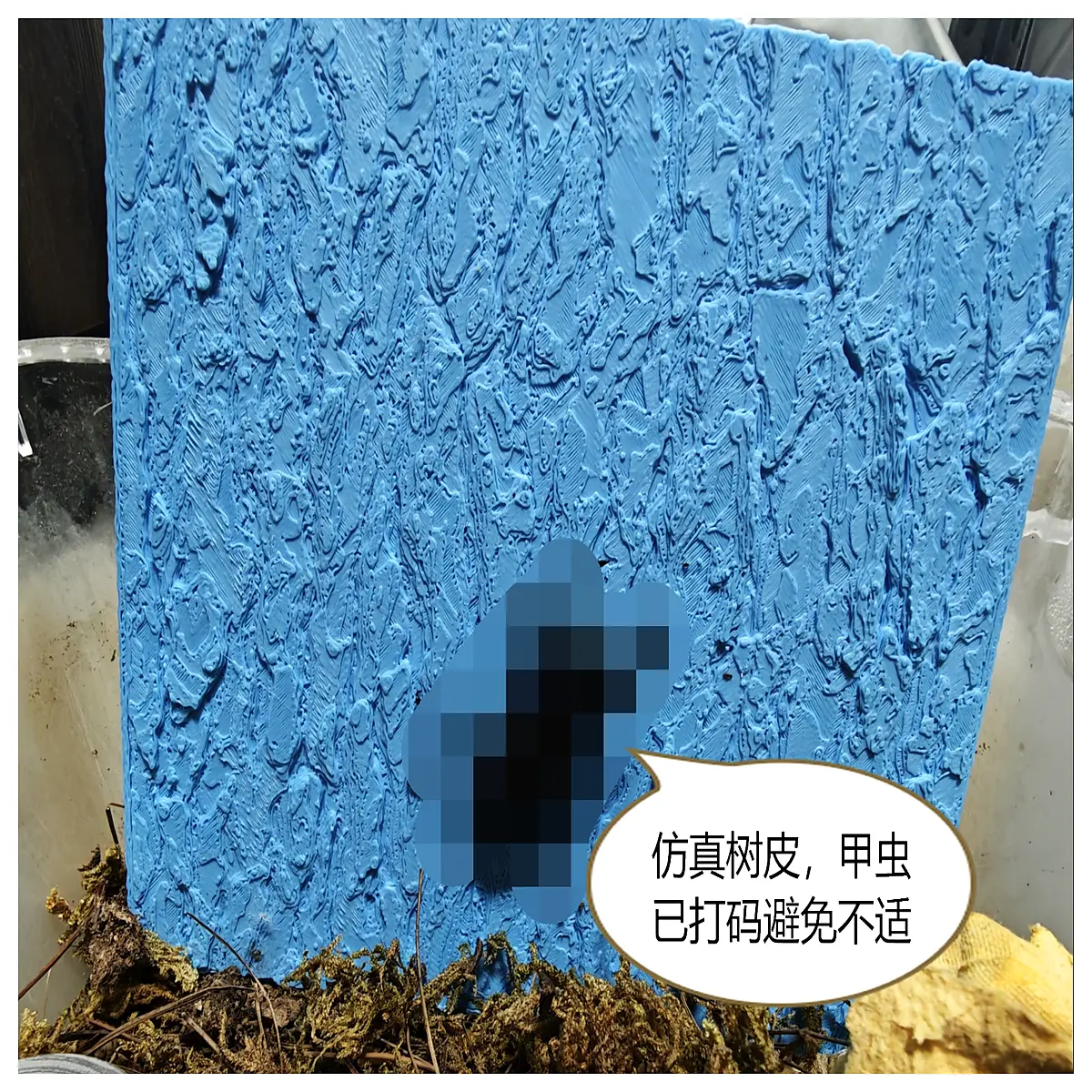 tree bark for beetle climbing enclosure setup rhinoceros stag hermit crab habitat decor
