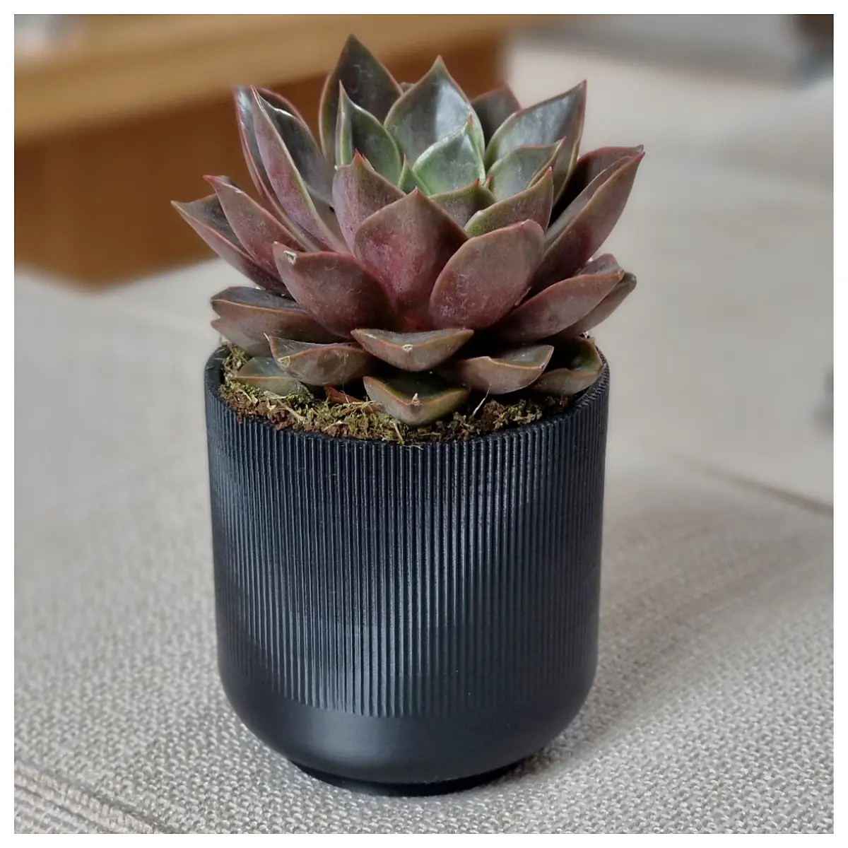 mini succulent pot with ridges small decorative planter for desk home office indoor cactus vase geometric ceramic