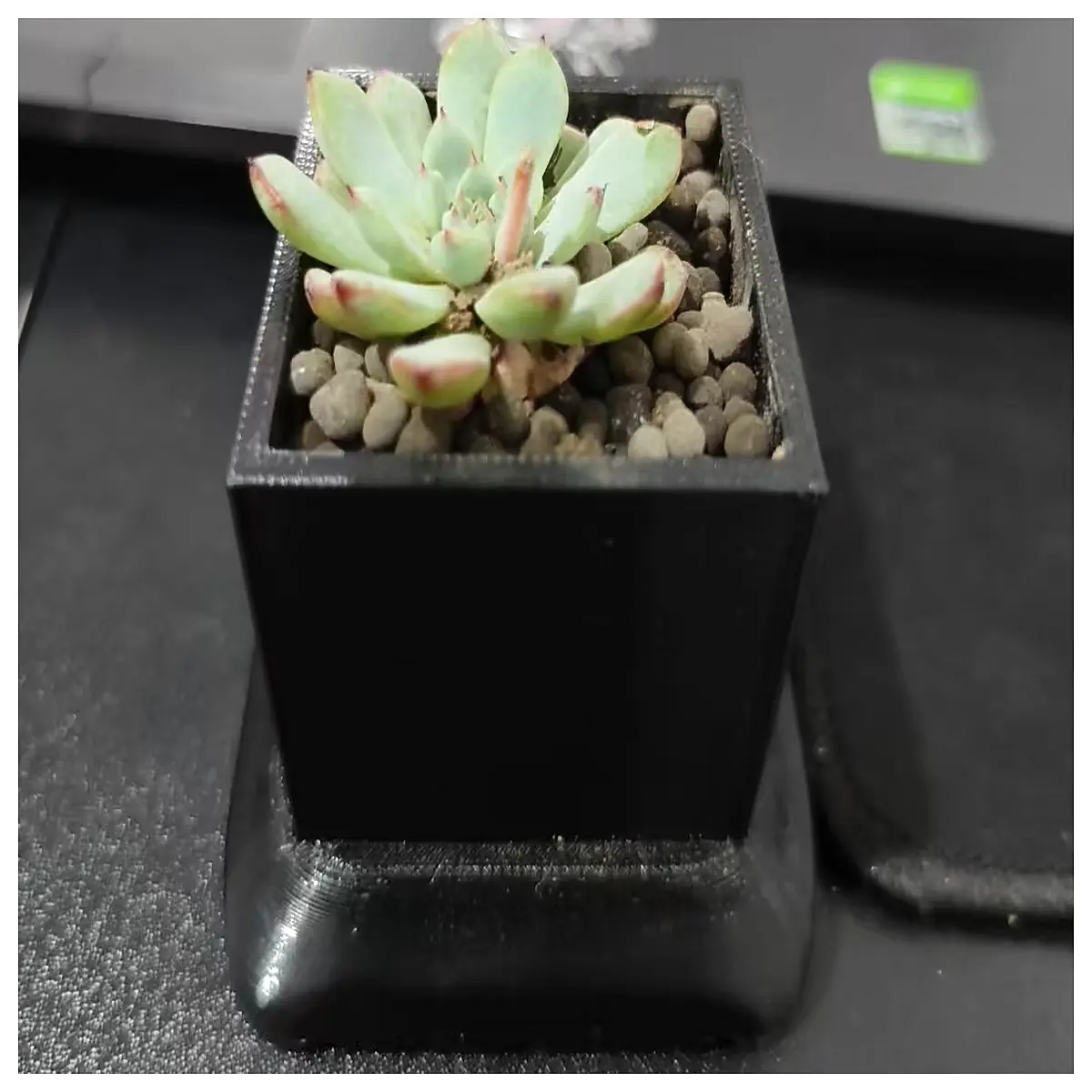 cute succulent pots for women gift shaped planter small ceramic flower pot indoor desk decor