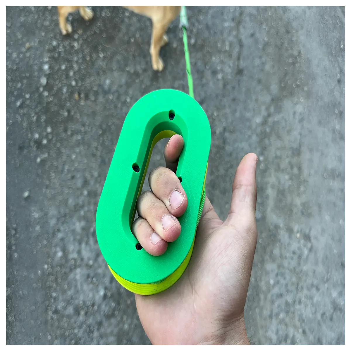 universal replaceable loop leash handle for dog walking accessories