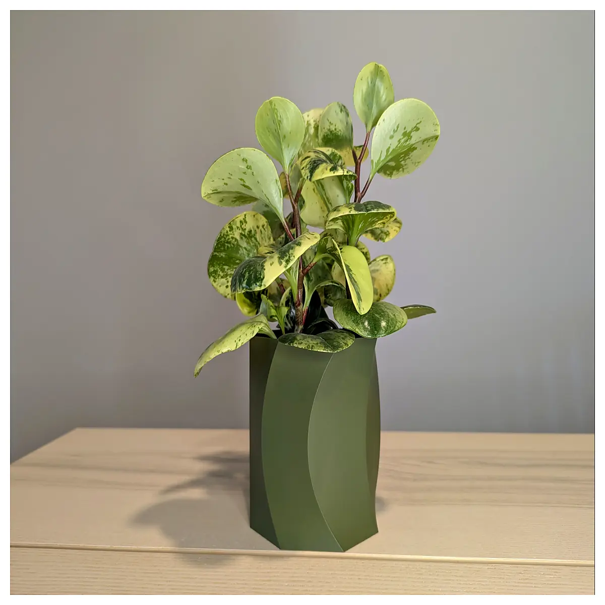 clyde indoor planter 4 inch ceramic pot for succulents small houseplant container modern minimalist decor
