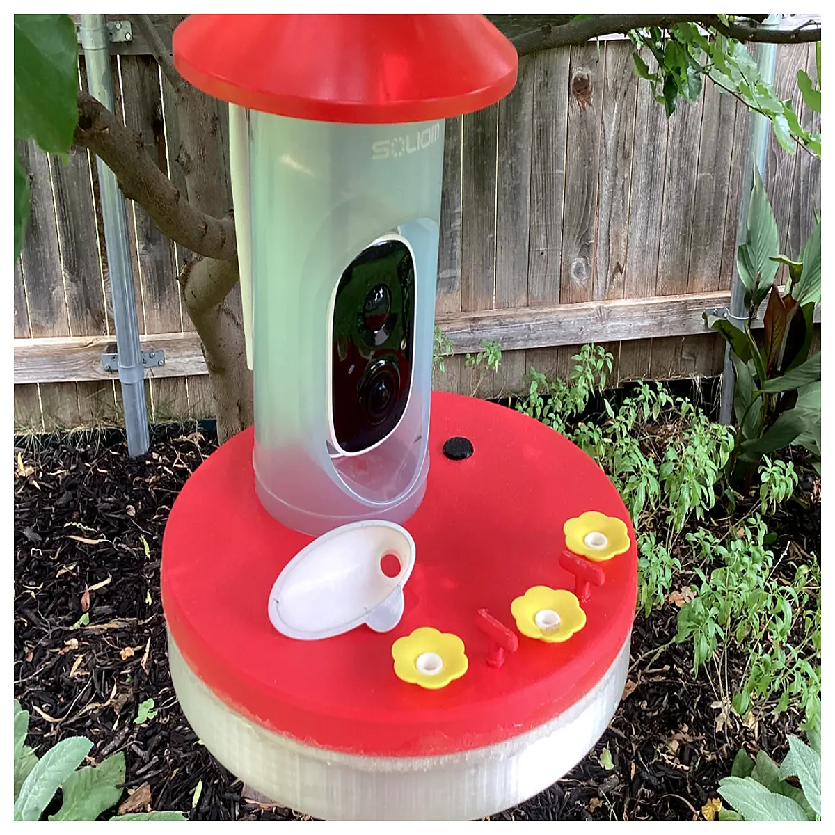 hummingbird feeder with camera live view wildlife monitoring system for garden birds