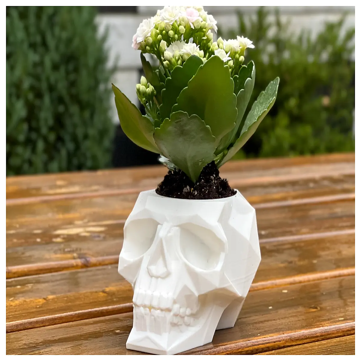 gothic skull planter metal plant holder for succulents home decor