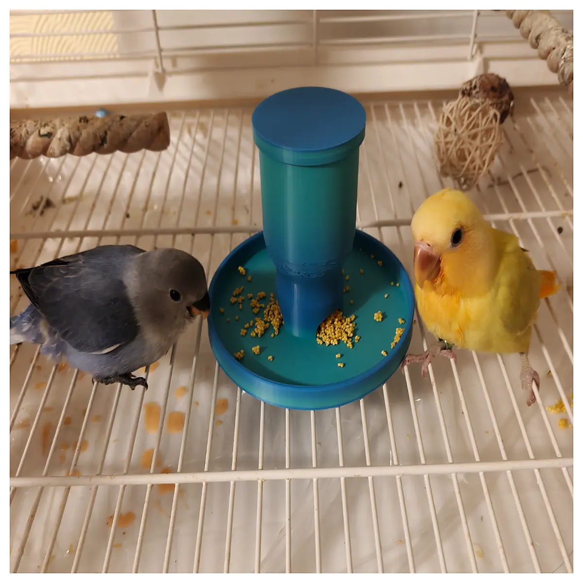 automatic chicken feeder hopper poultry food dispenser feed system for backyard flock