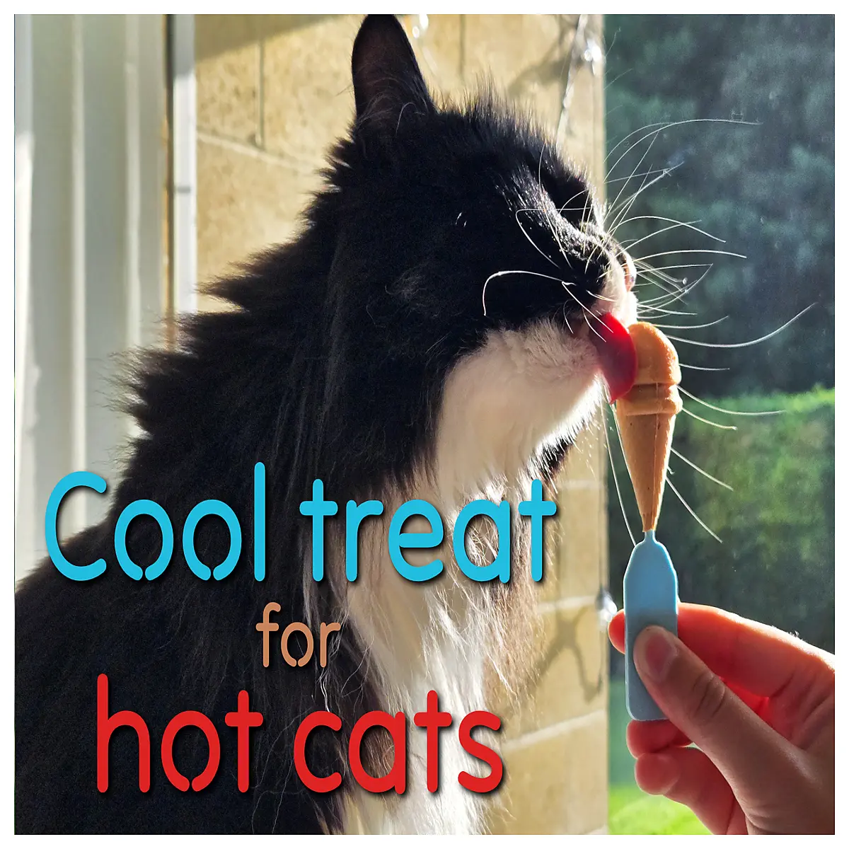 cute cat shaped silicone for ice cream popsicles homemade treats baking
