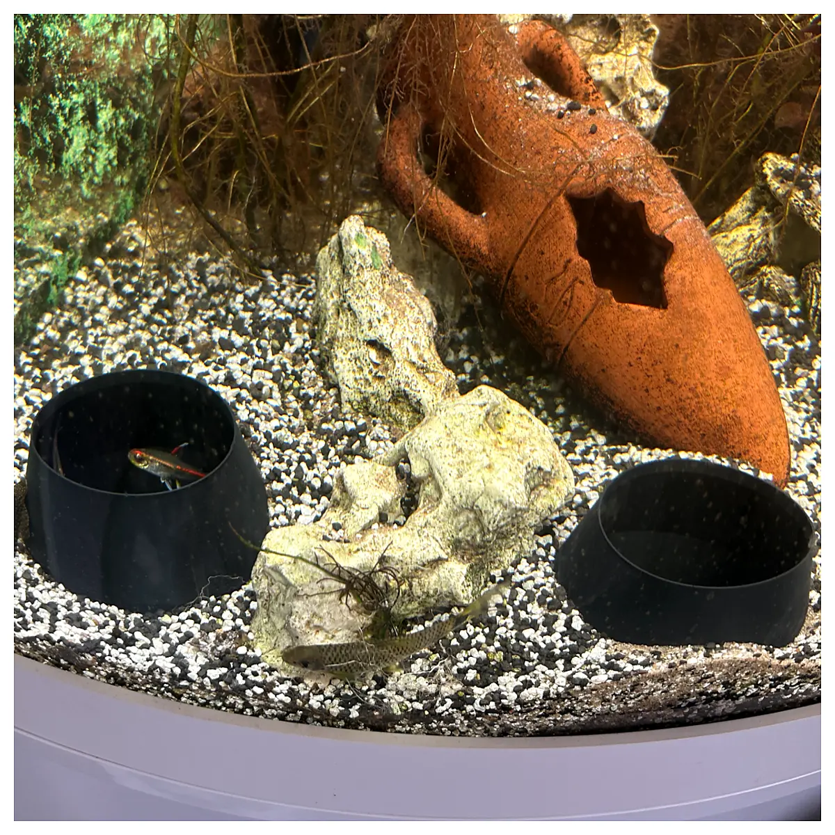 fish tunnel aquarium decoration cave hideout for betta goldfish plastic safe shelter hiding spot