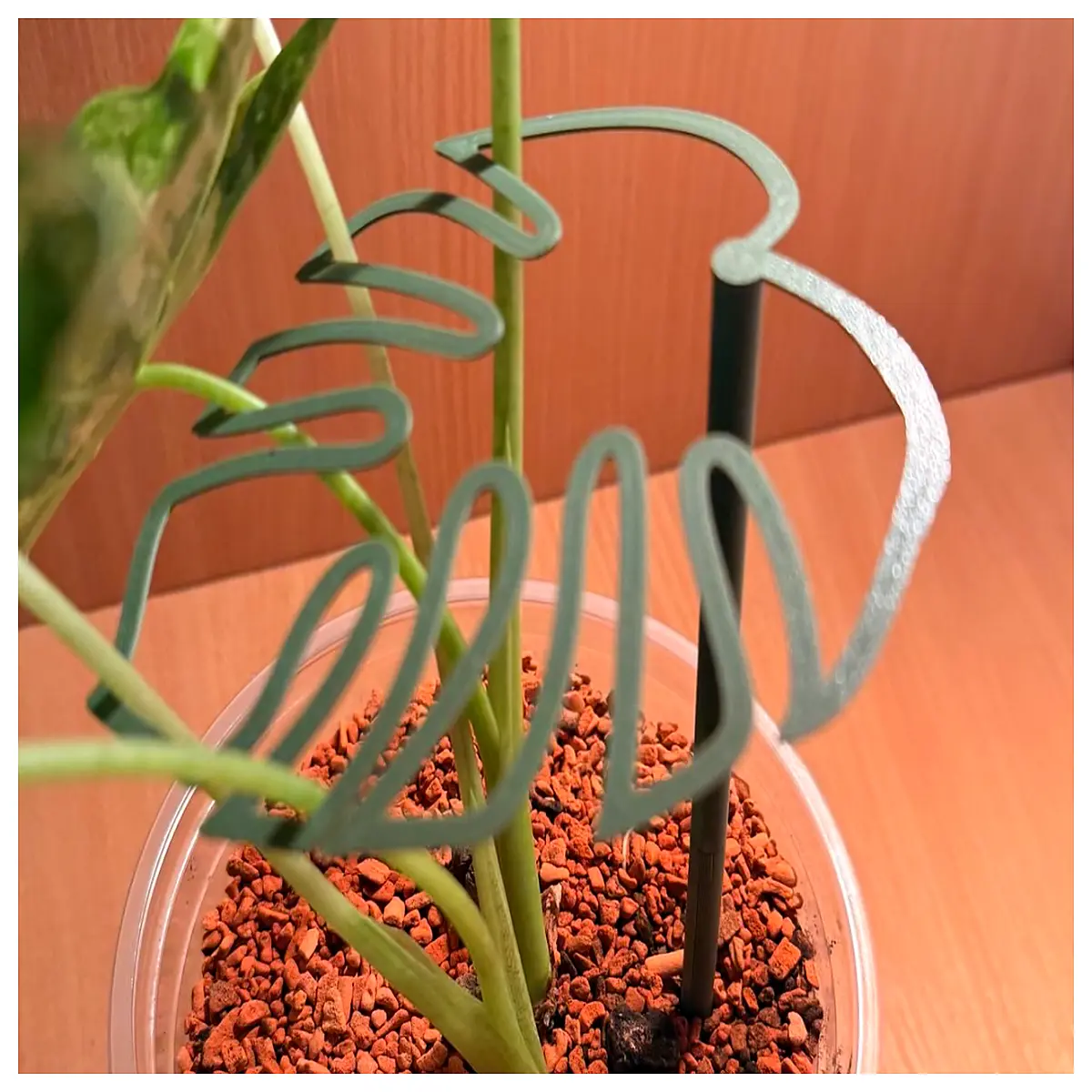 monstera leaf plant support stake for philodendron climbing vine trellis green house decor