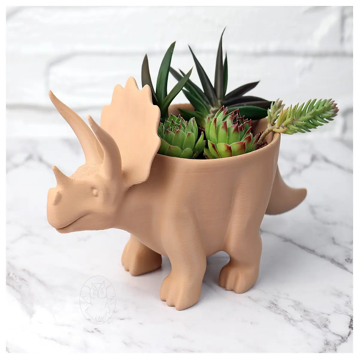 triceratops dinosaur planter pot cute succulent vase home decor office desk ornament kids