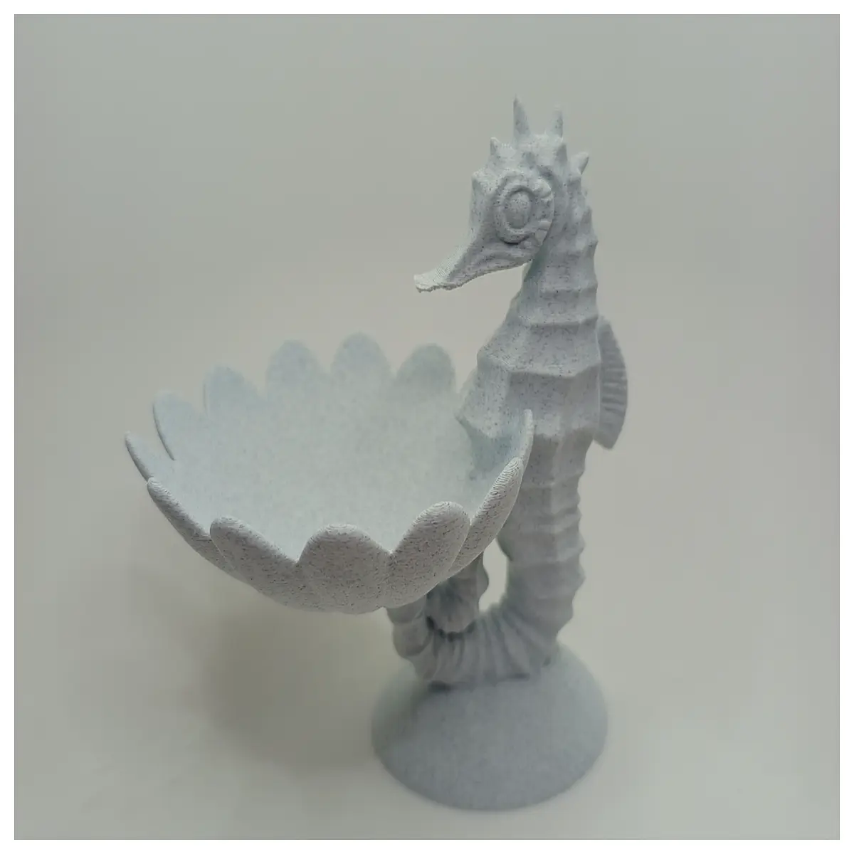 nautical home decor sea shell starfish wall art beach house accessories marine themed room styling