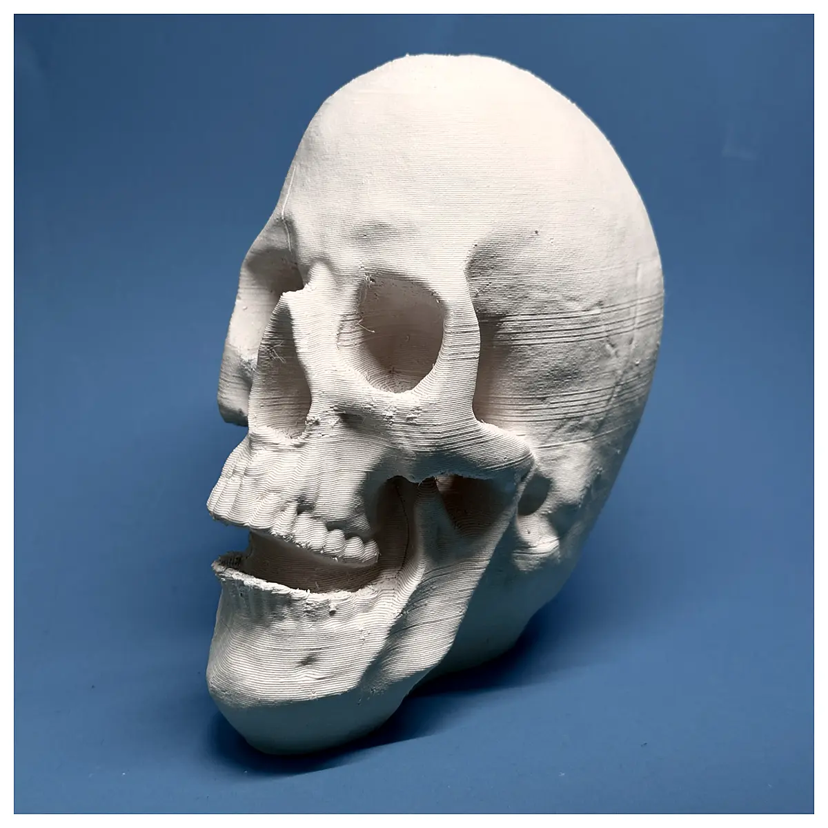 hollow skull prop for haunted house decoration realistic plastic skeleton head for halloween party decor spooky horror movie accessory