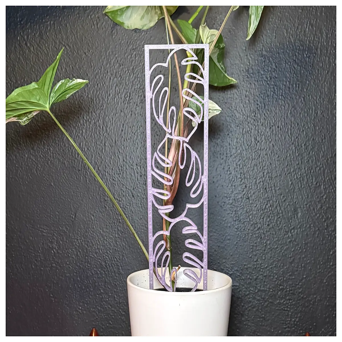 monstera deliciosa climbing pole moss stick support for indoor plants